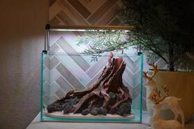 Scape-94 Htown Nature Aquarium Aquascape Driftwood 2.7 Gallons