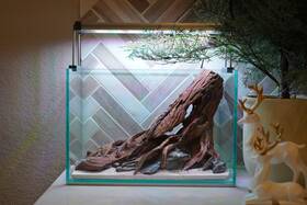 Scape-95 Htown Nature Aquarium Aquascape Driftwood 2.7 Gallons