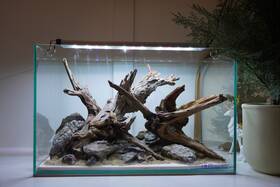 Scape-96 Htown Nature Aquarium Aquascape Driftwood 9.3 Gallons