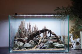 Scape-97 Htown Nature Aquarium Aquascape Driftwood 9.3 Gallons