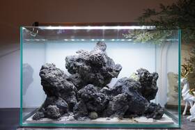 Scape-98 Htown Mountain-inspired Aquarium Aquascape 9.3 Gallons