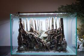 Scape-99 Htown Nature Aquarium Aquascape Driftwood 9.3 Gallons