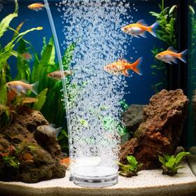 Hygger B0bg1n2rq8 Transparent Acrylic Aquarium Air Stone Kit - Fish Tank Bubbler Oxygen