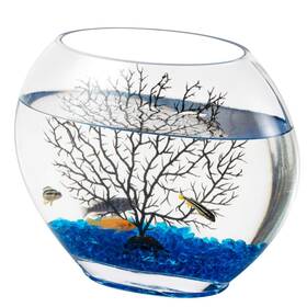 Hygger Hg-975 Mini Glass Oblate Fish Bowl Kit Small Tank Comes With Blue Aquar