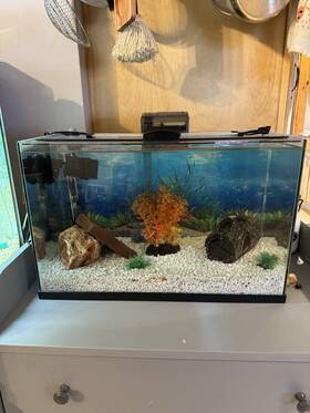 Imagitarium 3966775 10 Gallon Rimless Aquarium Tank