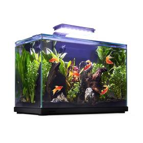 Imagitarium 56223 Glass Versa Aquarium 9.5 Gallons Gal