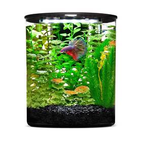 Imagitarium Cyl-2.5 Plastic Cylinder Betta Aquarium 2.5 Gallon Gal