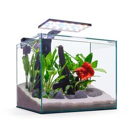 Imagitarium Fbk-5 Glass Betta Aquarium Kit 5 Gallons Gal