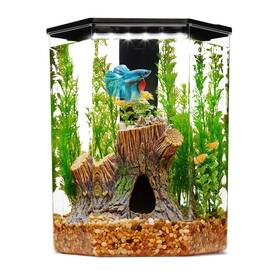 Imagitarium Hex-2.5 Plastic Hexagon Betta Aquarium 2.5 Gallon 2.39 Fz