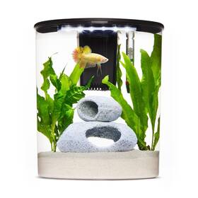 Imagitarium Hm-2.5 Plastic Half-moon Betta Aquarium 2.5 Gallon Gal