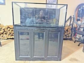 Innovative Marine Int100 100 Gallon Aquarium With Triton 34 V2 Sump