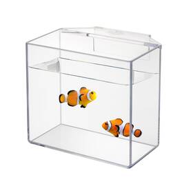 Ioaoi B0f282gtg5 Drip Acclimation Container Fish/coral - Hanging Box For Stress-free Acclim