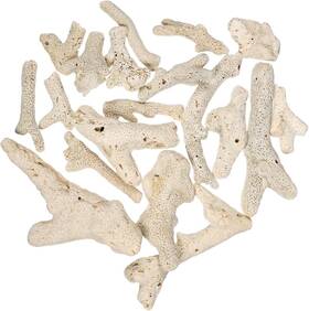 Iplusmile 26202g288h4osf Pond Filter Media Aquarium Crushed Coral 4.5x4.5cm Random Color
