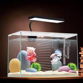 Ipriro 974426660640 3 Gallon 12.6 Inch L Fish Nano Glass Aquarium With Separator Plate For Betta Multi