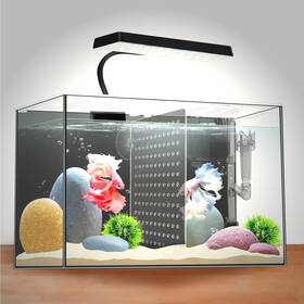 Ipriro 974426660671 3 Gallon 12.6 Inch L Fish Nano Glass Aquarium With Separator Plate For Betta Mu