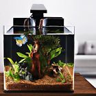 Isftv1 Iswees Betta Fish Tank