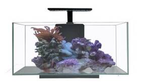 Jbj 941855205643 Aquarium - Desktop 10 Gallon Flat Panel With Lyra Watt Led Jbj 941855205643 Aquarium - Desktop 10 Gallon Flat Panel With Lyra Watt Led