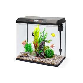 Jumbl Pets Jumpba10g Jumblpets Starter Fish Aquarium Kit Complete Beginner Glass Tanks Set W