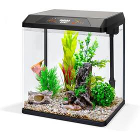 Jumblpets Jumpba2g Starter Fish Aquarium Kit Beginner Glass Tank 2 Gallon