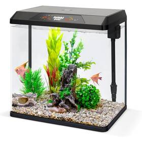 Jumblpets Jumpba4g Starter Fish Aquarium Kit Beginner Glass Tank 4 Gallon