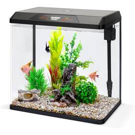 Jumblpets Jumpba5g Starter Fish Aquarium Kit Beginner Glass Tank 5 Gallon