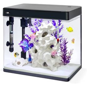 Jumblpets Jumppa12g Premium Fish Aquarium Kit Complete Glass Tank 12 Gallon
