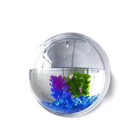 Kavolet Job1745701068414gc Wall Fish Bowl Small Hanging Goldfish Tanks Clear Acrylic Bett