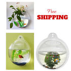 Kfa7k9i2ve General Acrylic Wall Fish Tank Aquarium Bowl Sturdy Home False