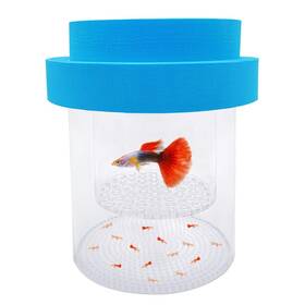 Kirmoo 711777256102 Floating Fish Breeding Box Acrylic Isolation For Aquarium Tank H