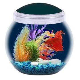 Koller Products 049146111119 1-gallon Fish Bowl With Led Lighting Crystal-clear Clarity