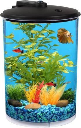 Koller Products 689854867962 3-gallon 360 Aquarium With Led Lighting 7 Color Choices And For