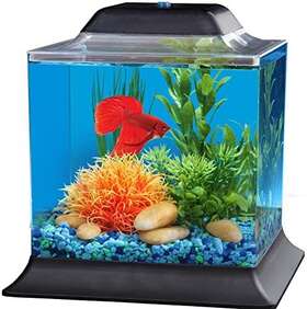 Koller Products 740023769255 1.5-gallon Aquascene Aquarium With Led Lighting