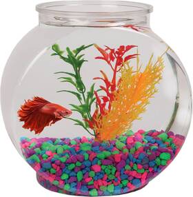 Koller Products Bl10dpet 1-gallon Fish Bowl Shatterproof Plastic With Crystal Clear Clar