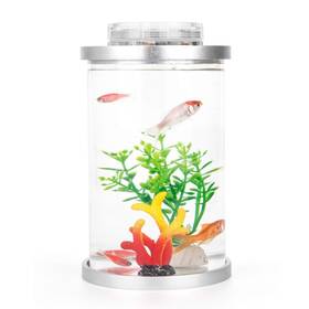 Kotaffo 716172551126 Mini Fish Tank With Remote Multi-color Led System Half Gallon Aquarium Start