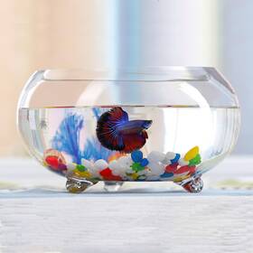 Kunvamul B0c61r872c 2 Gallon Glass Fish Tank Betta Bowl Small Aquarium