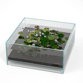 Landen 843477101623 Glass Air Aquarium Tank Multi-scene Landscape 1.6gallon Rimless Low