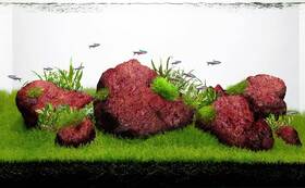 Landen B0b38ryc45 Red Lava Stones 16lbs 3-10in 11pcs Aquascaping And Terrarium Rock