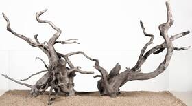 Landen B0bvq9k8lp Natural Spider Wood Aquarium Decorative Fish Tank Decorations Driftwood