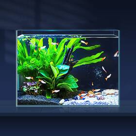 Laqual B0bbprj46p 3 Gallon Ultra Clear Glass Fish Tank Rimless Low Iron Aquarium Betta Nano