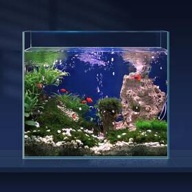 Laqual B0bp1ktfst 6.5 Gallon Ultra Clear Glass Fish Tank Rimless Iron Aquarium For