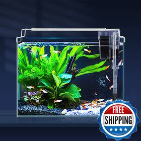 Laqual B0bvtztzk9 Rimless Glass Aquarium Starter Kit 3 Gal Ultra Clear Iron Fish