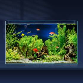 Laqual Laqual-10g 10 Gallon Ultra Clear Glass Fish Tank Rimless Low Iron Aquarium For Betta/na