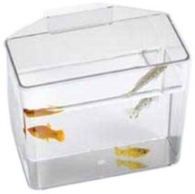 Lees 010838105167 Pet Products Ale10516 Heavy Duty Specimen Container For Aquarium Small