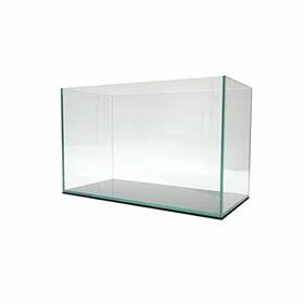 Lifegard Aquatics 788379325350 5 Gallon Rimless Clear Glass Aquarium 5mm Thick