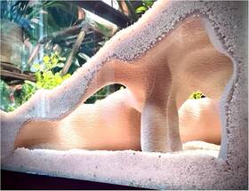 Llc 313056627658 Aquarium And Terrarium Corner Cave Faux Mangrove Root Hideout For Fish Shrimp