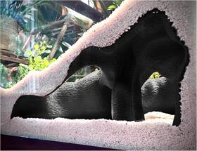 Llc 705353474897 Aquarium And Terrarium Corner Cave Faux Mangrove Root Hideout For Fish Shrimp