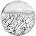 Ls-506 Ecosphere Closed Ecosystem Aquarium-large Sphere Aquarium W Revolving Base-self Contained 833985005063