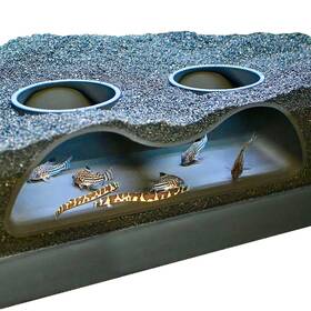 Lucky Critter 198715486797 Aquarium Underground Tunnel Cave Natural Curve Two Hole Viewing F... Fast Ship