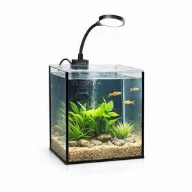 Lyphard Aquariums Lp-ft15-15-20 Mini Aquarium Set Fish Tank Shrimp Snails Planted 1.2 Gallon A