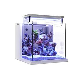 Magtool 689323444748 Premium All-in-one Desktop Mini Acrylic 0.95gal 3.6l Reef Aquarium W